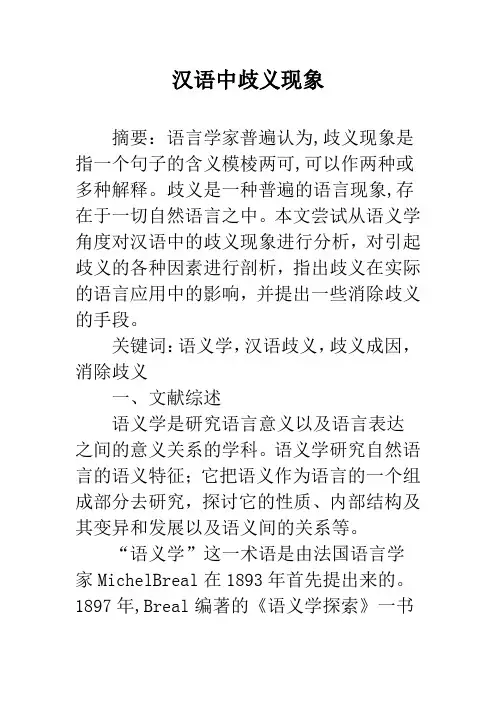汉语中歧义现象