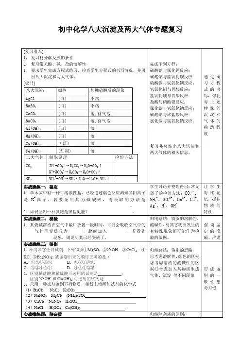 中考化学-复分解反应中的八大沉淀和两大气体