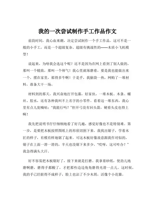 我的一次尝试制作手工作品作文