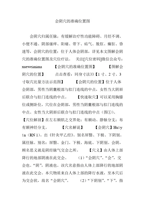 会阴穴的准确位置图.