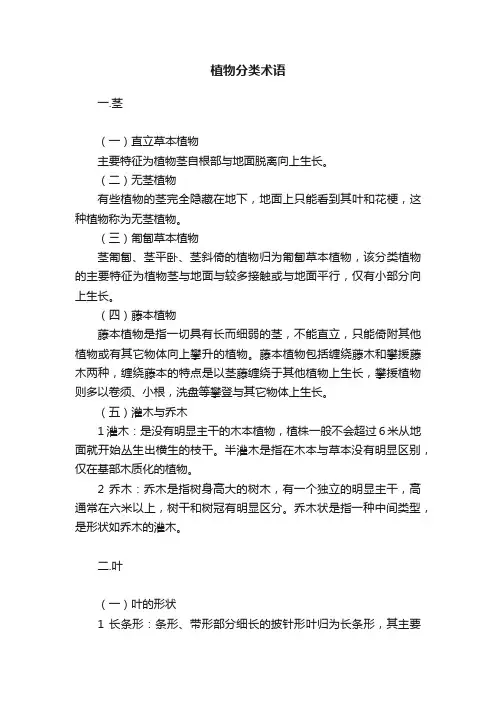 植物分类术语