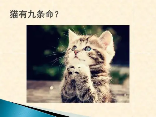 神奇的猫旋--讲解猫旋与其应用