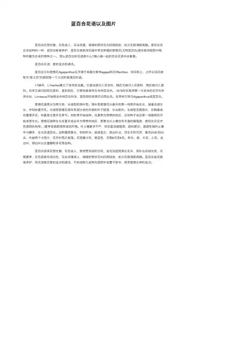 蓝百合花语以及图片
