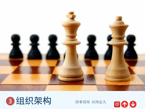集团公司常用的五种组织结构