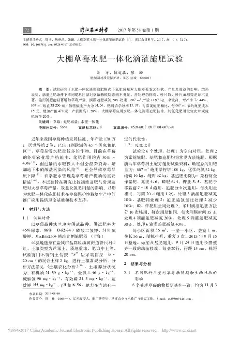 大棚草莓水肥一体化滴灌施肥试验_周祥