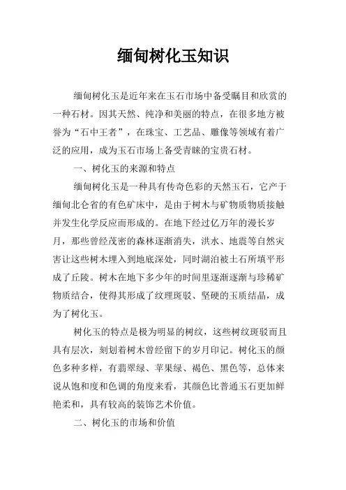 缅甸树化玉知识
