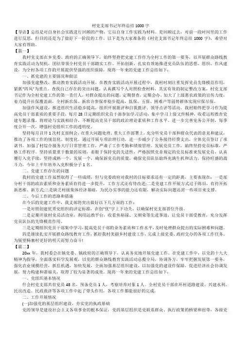 2019最新版村党支部书记年终总结