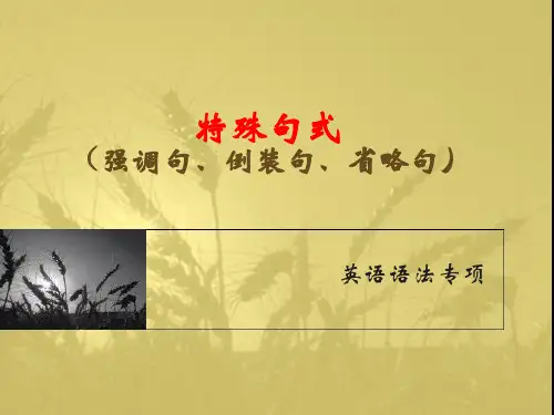 英语语法-特殊句式