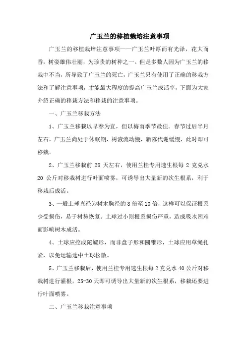 广玉兰的移植栽培注意事项