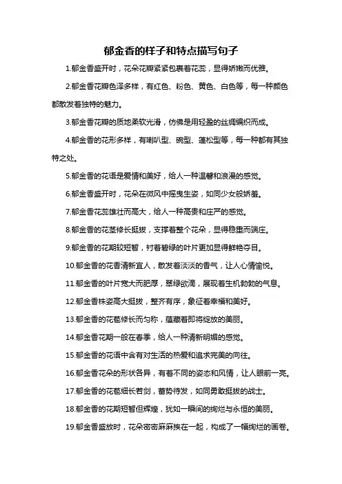 郁金香的样子和特点描写句子-概述说明以及解释