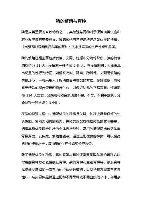 猪的繁殖与育种