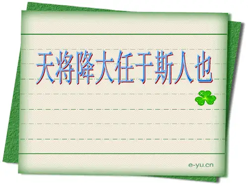 鲶鱼效应PPT