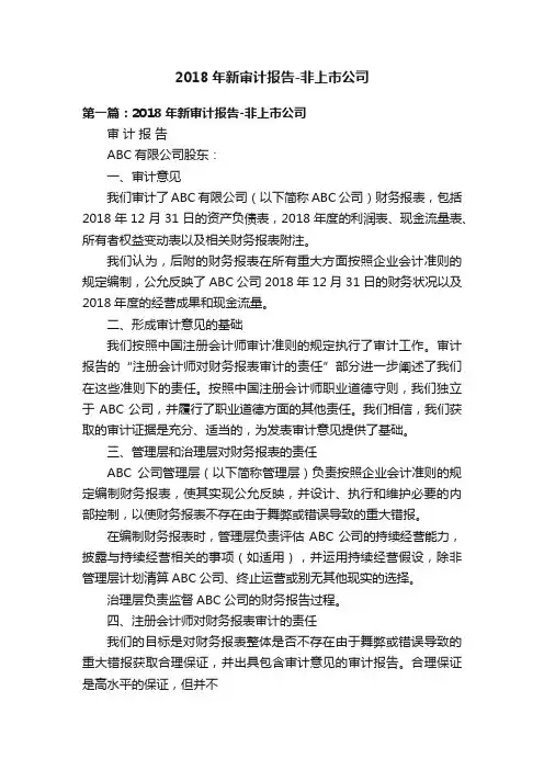 2018年新审计报告-非上市公司