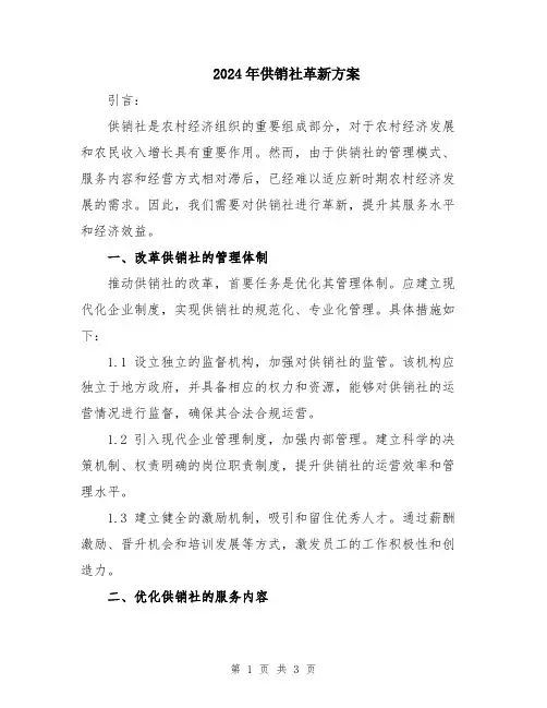 2024年供销社革新方案