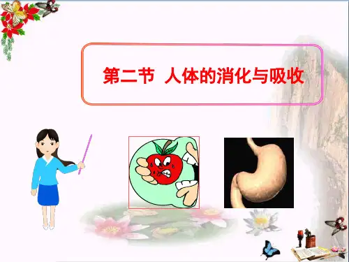 人体的消化与吸收 PPT