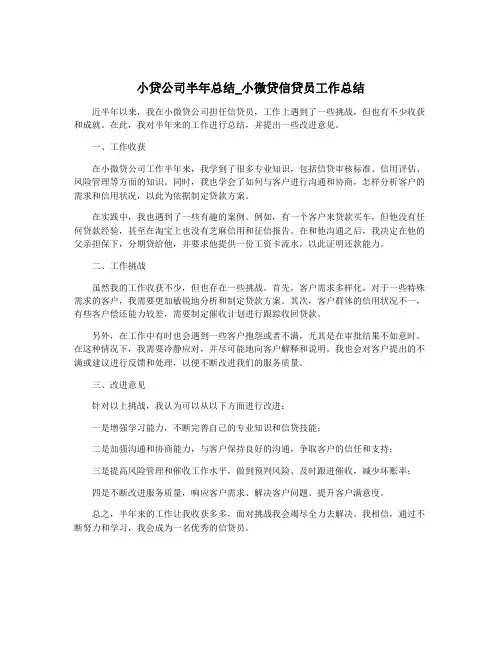 小贷公司半年总结_小微贷信贷员工作总结