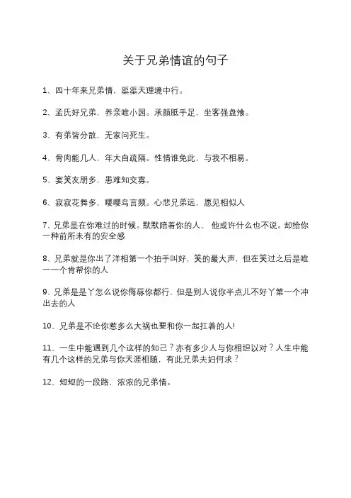 关于兄弟情谊的句子