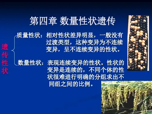 第四章数量性状遗传说课讲解