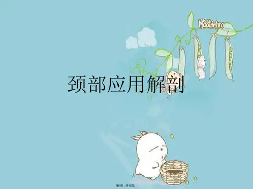 颈部应用解剖(共16张PPT)