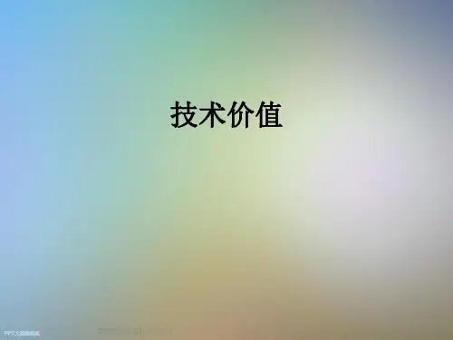 技术价值