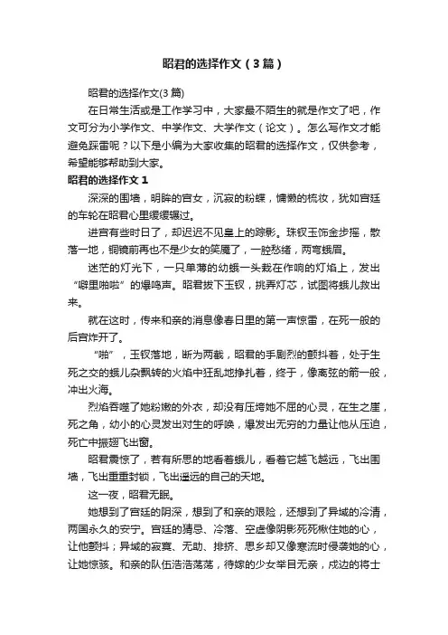 昭君的选择作文（3篇）