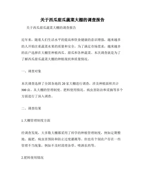 关于西瓜甜瓜蔬菜大棚的调查报告