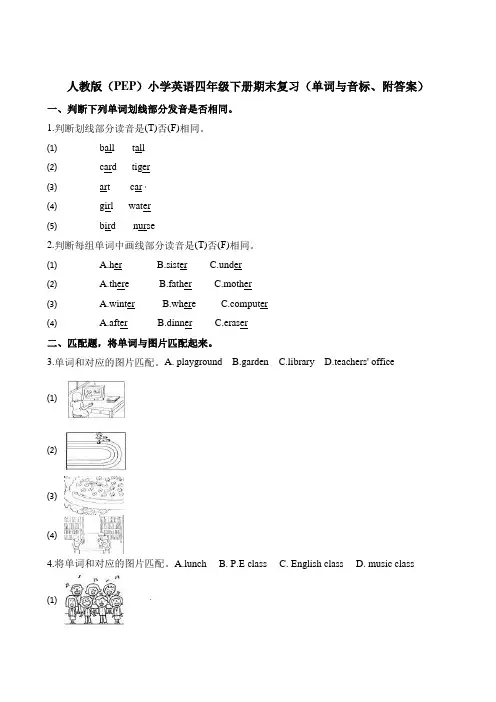四年级下册英语期末复习(单词与音标)∣人教(PEP)(含答案)