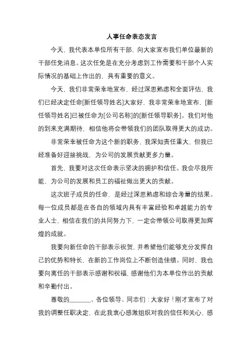 人事任命表态发言