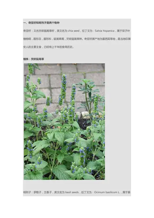 奇亚籽与明列子的区别