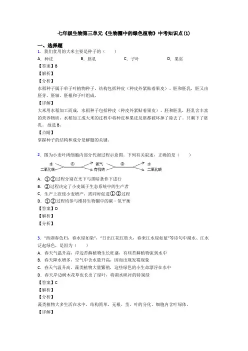 七年级生物第三单元《生物圈中的绿色植物》中考知识点(1)