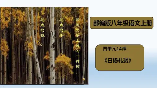 人教部编版八年级语文上册《白杨礼赞》课件PPT