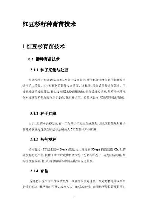 红豆杉籽种育苗技术
