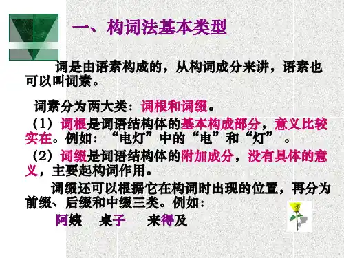 语构造的基本类型2分析各种词语的结构3了解简缩的基本综述