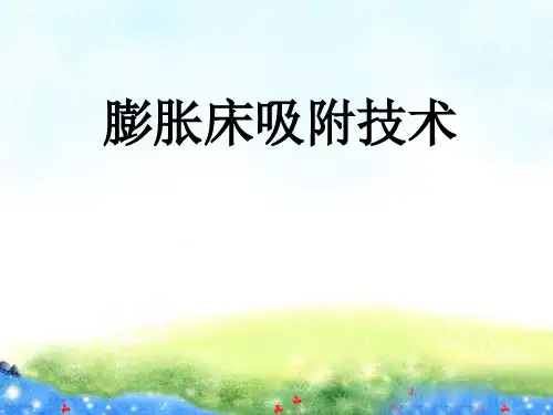 膨胀床吸附技术