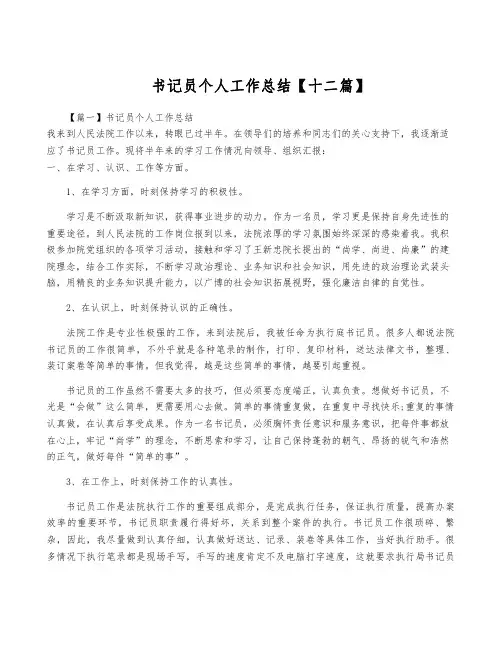 书记员个人工作总结【十二篇】