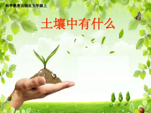 五年级上册科学课件 土壤中有什么教科版 (共21页)PPT
