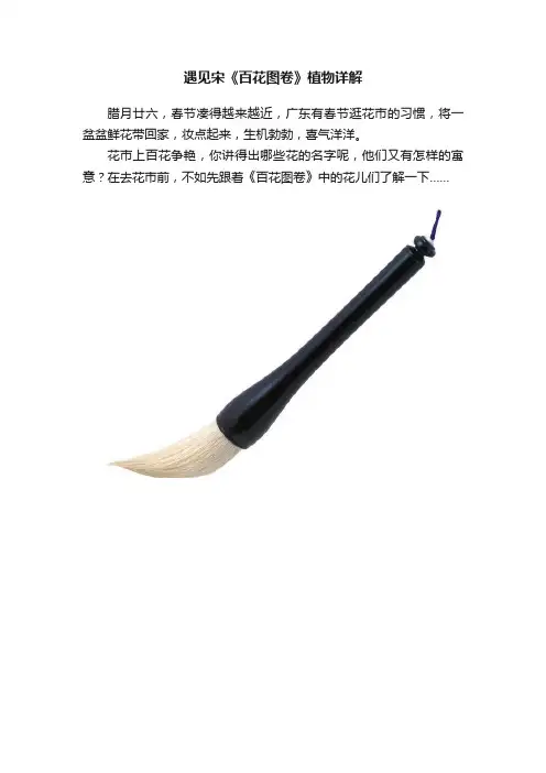 遇见宋《百花图卷》植物详解