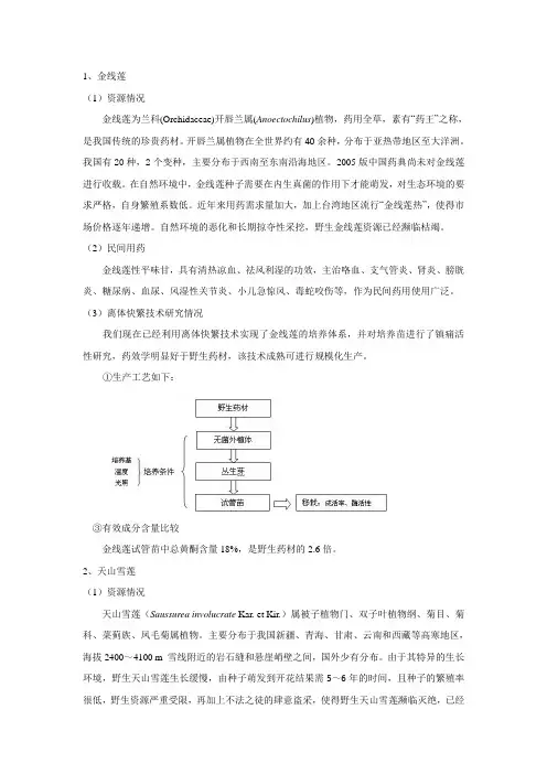 金线莲