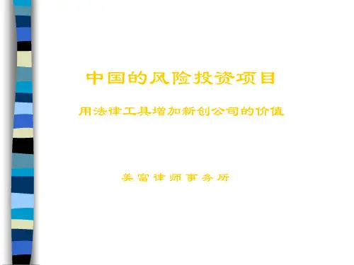 中国的风险投资项目分析报告(ppt 27页)