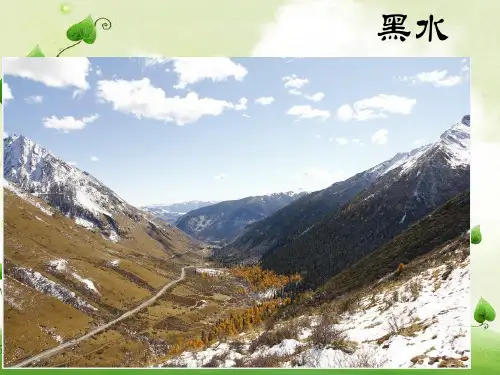 黑水