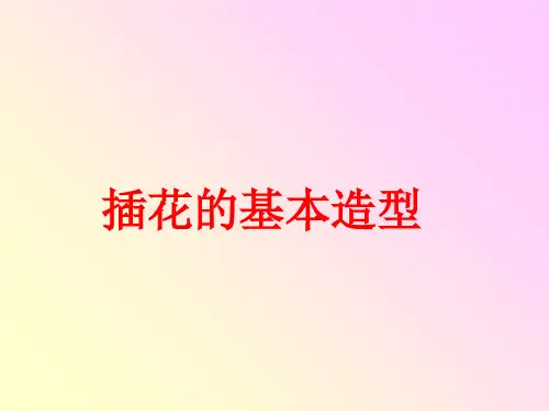插花的基本造型PPT课件