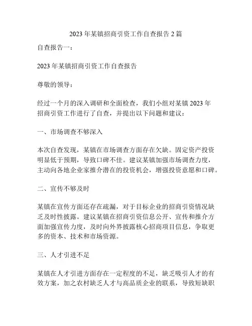 2023年某镇招商引资工作自查报告2篇
