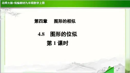 《 图形的位似》示范公开课教学PPT课件【北师大版九年级数学上册】第1课时