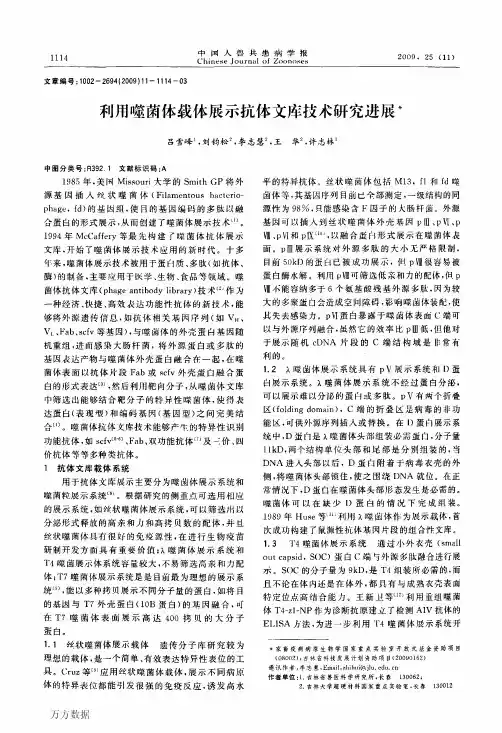 利用噬菌体载体展示抗体文库技术研究进展