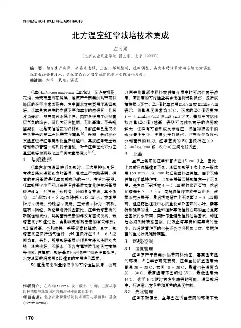 北方温室红掌栽培技术集成
