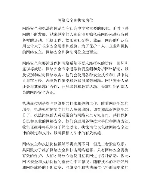 网络安全和执法岗位