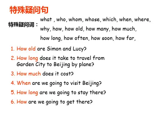 特殊疑问句