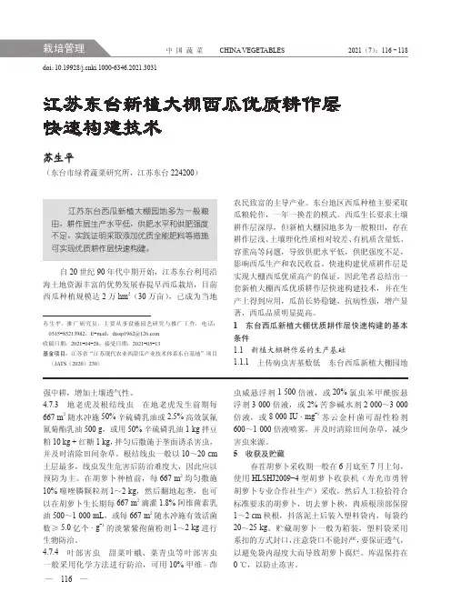 江苏东台新植大棚西瓜优质耕作层快速构建技术