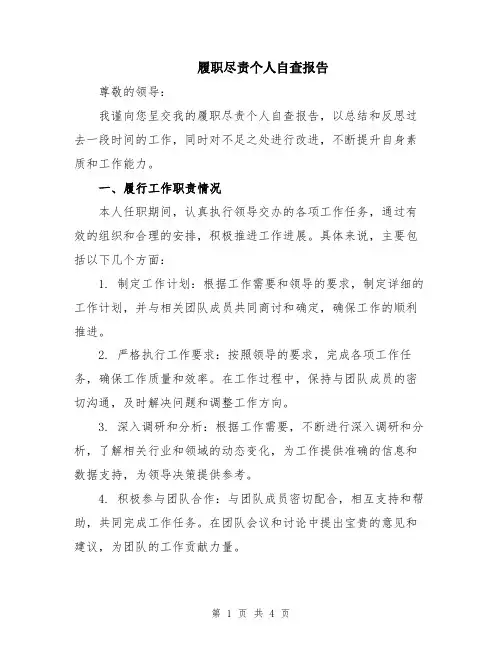 履职尽责个人自查报告