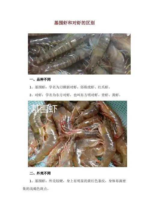 基围虾和对虾的区别